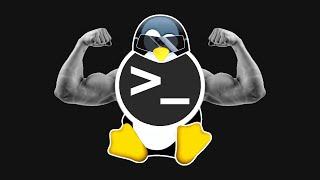 5 LINUX COMMANDS YOU MUST KNOW TO ASSERT DOMINANCE