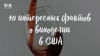 10 интересных фактов о виноделии в США