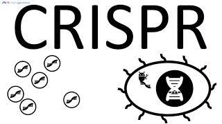 CRISPR/Cas9 basic explanation | Merogenomics