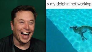 Elon Musk finds "dolphin not working" meme hilarious | Meme Review
