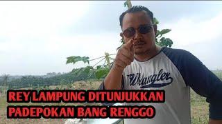 BANG RENGGO &JAGA BAYA TUNJUK PADEPOKAN BARU BUAT HABISI  REY LAMPUNG