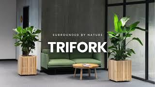 Office Landscaping - Trifork Case