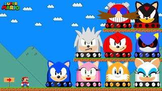 Mario, but There Are More Custom Ultimate Sonic The Hedgehog Characters Switch!