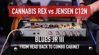 Fender Blues junior III, Combo or Head cabinet? Best speaker, Eminence Cannabis Rex or Jensen C12N?