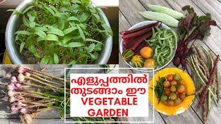 എളുപ്പത്തിൽ തുടങ്ങാം ഈ Vegetable Garden - How to Start a Vegetable Garden for Beginners in Malayalam