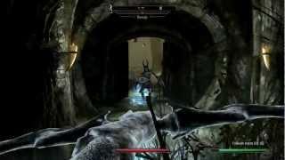 TESV Skyrim #84 Обитатели и загадки нордских руин Ансилвунд