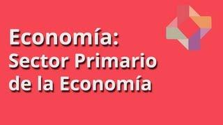 Sector Primario de la Economía