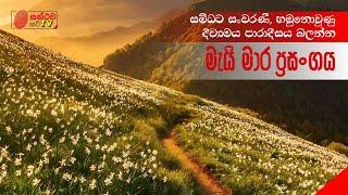 සමිධට සංචරණි හමු නොවුණු දිව්‍යමය පාරාදීසය |Mai Mara Prasangaya |Suneera Sumanga |Mahinda Masimbula