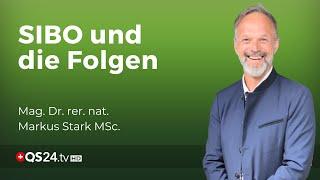 Die Konsequenzen einer gestörten Dünndarmflora | Mag. Dr. rer. nat. Markus Stark MSc | QS24