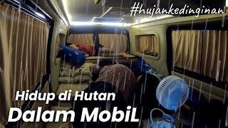 Kami Tinggal di Hutan Tanpa Sinyal Pakai Campervan Rumah Berjalan Berenang di Sungai Super Dingin