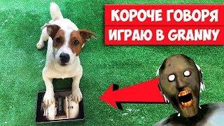 Long Story Short ► DOG PLAYING IN GRANNY ► SHOCK