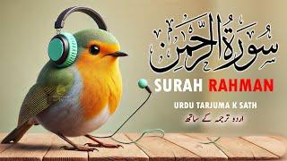 Surah Al Rahman (highest Quality )by Abdulbasit Abdul Samad with Urdu Translation 70