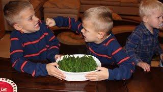 Twins Argue Over Vegetables
