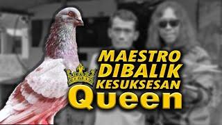 SEJARAH DIBALIK KEHEBATAN QUEEN ASUHAN SANG MAESTRO PEKALONGAN MAS DOK #merpatikolong