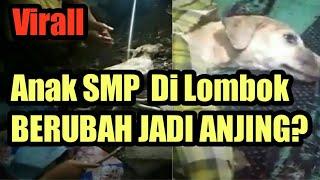 Anjing Jadi Jadian _Anak SMP Di Lombok Berubah Jadi Anjing?(Kronologi Video)