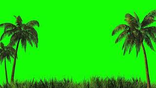 palm trees and grass  loop animation green screen footage | 4K footages | GreenScreen Vfx