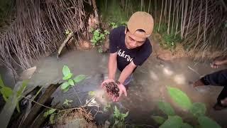 ‼️BERBURU KERANG REMIS DI TEPI SUNGAI HASIL MELIMPAH