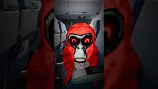 ️ Ghost Found On Plane… #gorillatag