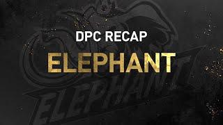 Elephant's road to The International: The 2021 DPC Season