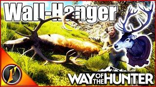 Hunting a Trophy Red Stag in Way of the Hunter!