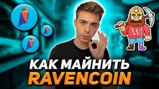 Как Начать Майнить Ravencoin? Лучший способ в 2021!