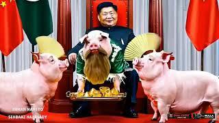 MAI CHHU LU US MITTI KO | PIG WALA QUALI| VIRAL VIDEO| PAKISTAN INDIA TROLL VIDEO