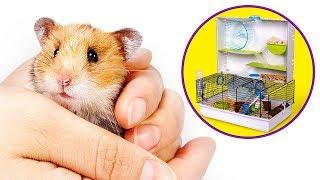 Eine Menge Spaß für deinen Hamster: Entpacke die Critterville Arcade Hamster Heimat!