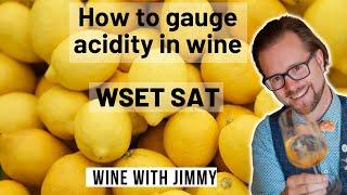 How to Judge Acidity with the WSET Level 3 Standard Approach to Tasting