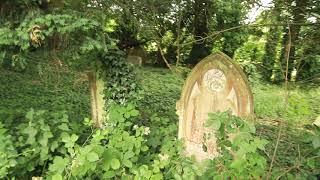 Overgrown cemetery