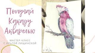 ПОПУГАЙ КАКАДУ АКВАРЕЛЬЮ| урок по акварели | Watercolor parrot