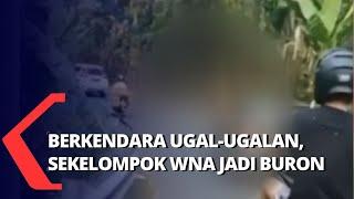 Video Kendarai Mobil Ugal-Ugalan di Jalanan Bali Viral, Akhirnya Sekelompok WNA jadi Buron