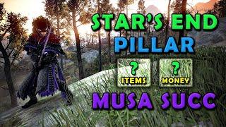 BDO | Star's End Pillar (Tower) - 285k Musa SUCCESSION - 6800+ FULL HOUR