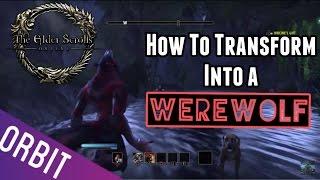 Elder Scrolls Online | Step by Step Werewolf Transformation Guide