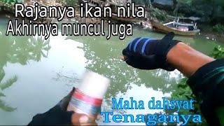 SAMPAI PANIK...!!! NEMBAK IKAN DI SUNGAI DAPAT IKAN NILA TERBESAR