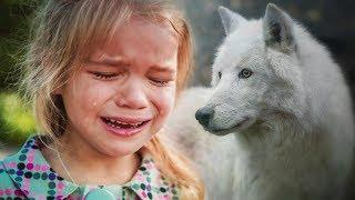 История про девочку и волчицу. Трогательно до слёз.