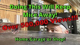 3 Ways To Get Rid Of Mice or Rats, And Keep Them Out!(#1 tip at10:14 mark for the impatient viewers)