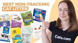 The Best Non-Tracking Cat Litter (We Tested Them All!)