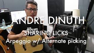 Andre Dinuth - Sharing Licks - Arpeggio With Alternate Picking