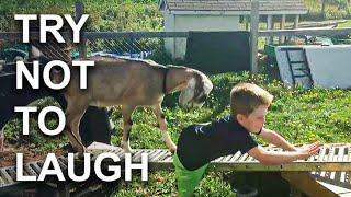 [2 HOUR] Best Fails Of The Week  Try Not To Laugh