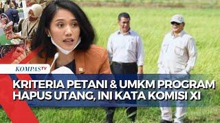 Bagaimana Kriteria Petani-UMKM yang Bisa Nikmati Program Penghapusan Utang? Ini Kata Komisi XI DPR