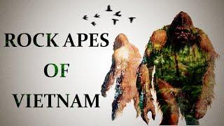 "The Rock Apes of Vietnam..." (2 Terrifying Sasquatch Encounters!)