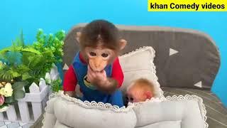 BiBi helps dad take care of baby Monkey  #babymonkey #animalshome #monkeyfunny