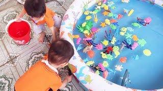 Đồ Chơi Trẻ Em Baby Fun ️ Trò Chơi Bắt Cá Thả Hồ Bơi và Làm Món Bánh Cá ️ Gia Đình Baby Shark