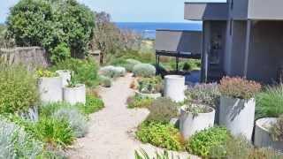 Flinders Coastal Garden by Jim Fogarty