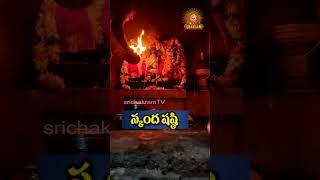 సుబ్రమణ్య షష్టి మంగళ హారతి #sasti #subramanya #murugan #palani #skanda #shorts #palanimalaimurugan