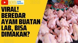 VIRAL! BEREDAR DAGING AYAM BUATAN LAB, ASLI TAPI PALSU? | BERITA UNIK UPDATE