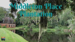 Our tour of the Middleton Place Plantation