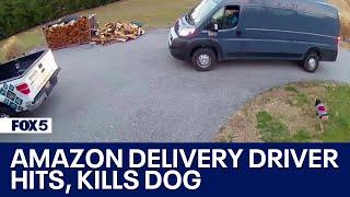 Video shows Amazon delivery driver hitting, killing dog at Maryland home | FOX 5 DC
