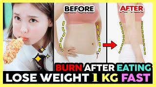 BURN FAT AFTER EATING | EASY FULL-BODY WORKOUT TO LOSE WEIGHT 1KG FAST (No jumping, No Equipment)