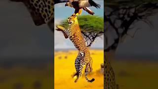 मेरे तीन सबसे ज्यादा favroute जानवर  लास्ट वाला तो आपका v है 3 favourite   animal's #facts #shorts